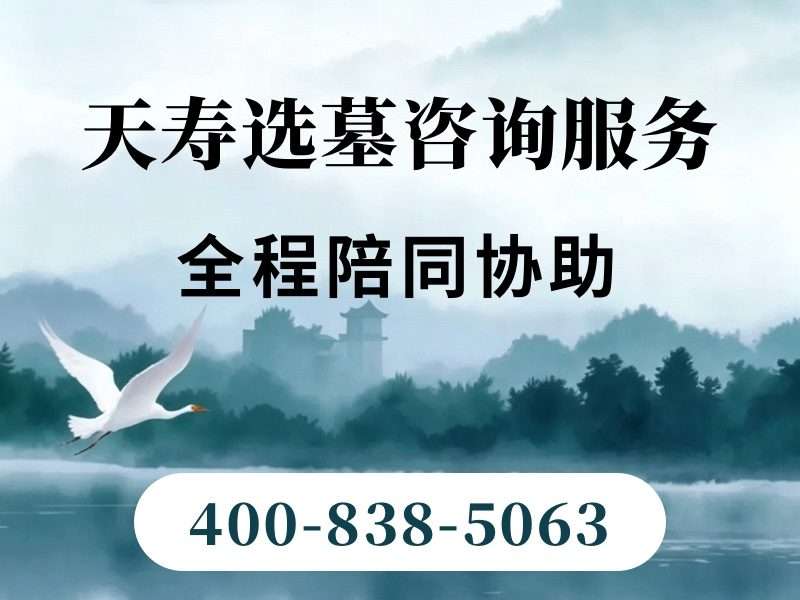 天寿陵园秋天的银杏大道走一趟满地金黄，美不胜收的秋日景观