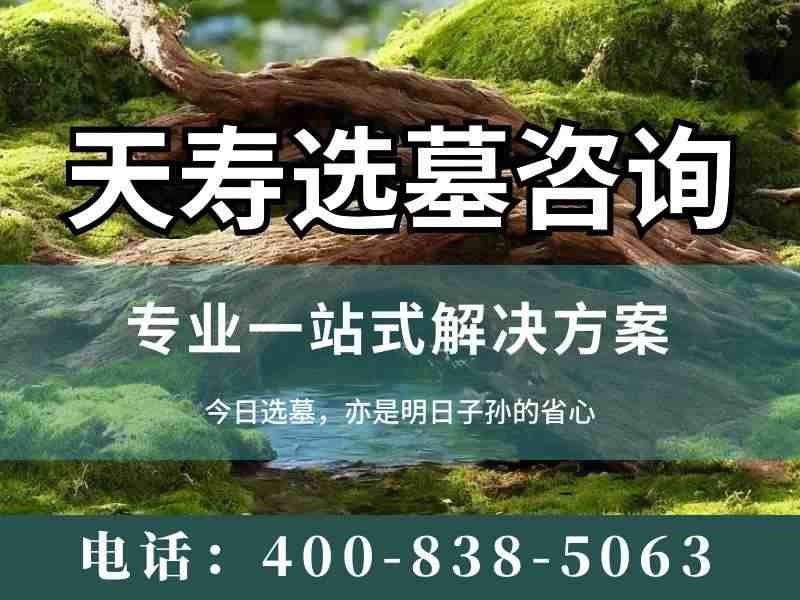 天寿陵园全品类单人墓碑优惠汇总 多墓型组合选购折上折