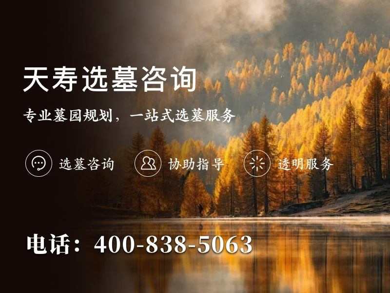 天寿陵园：立碑葬与生态葬深度解析，如何为您选择最合适的安息方式？