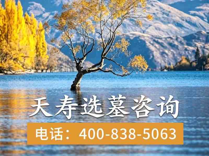 天寿陵园墓碑价格为什么一直居高不下：探究其背后的成本与价值因素