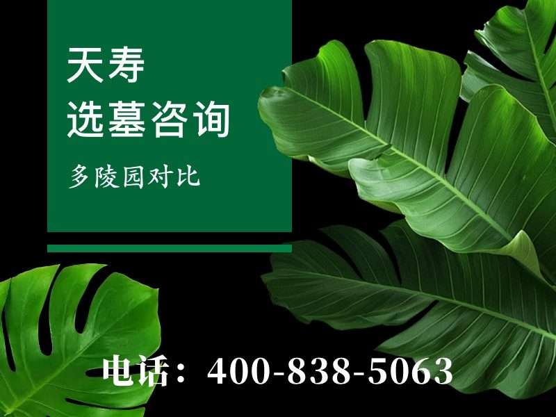 “天寿陵园墓碑价格为什么一直居高不下，探究高端陵园定价策略”